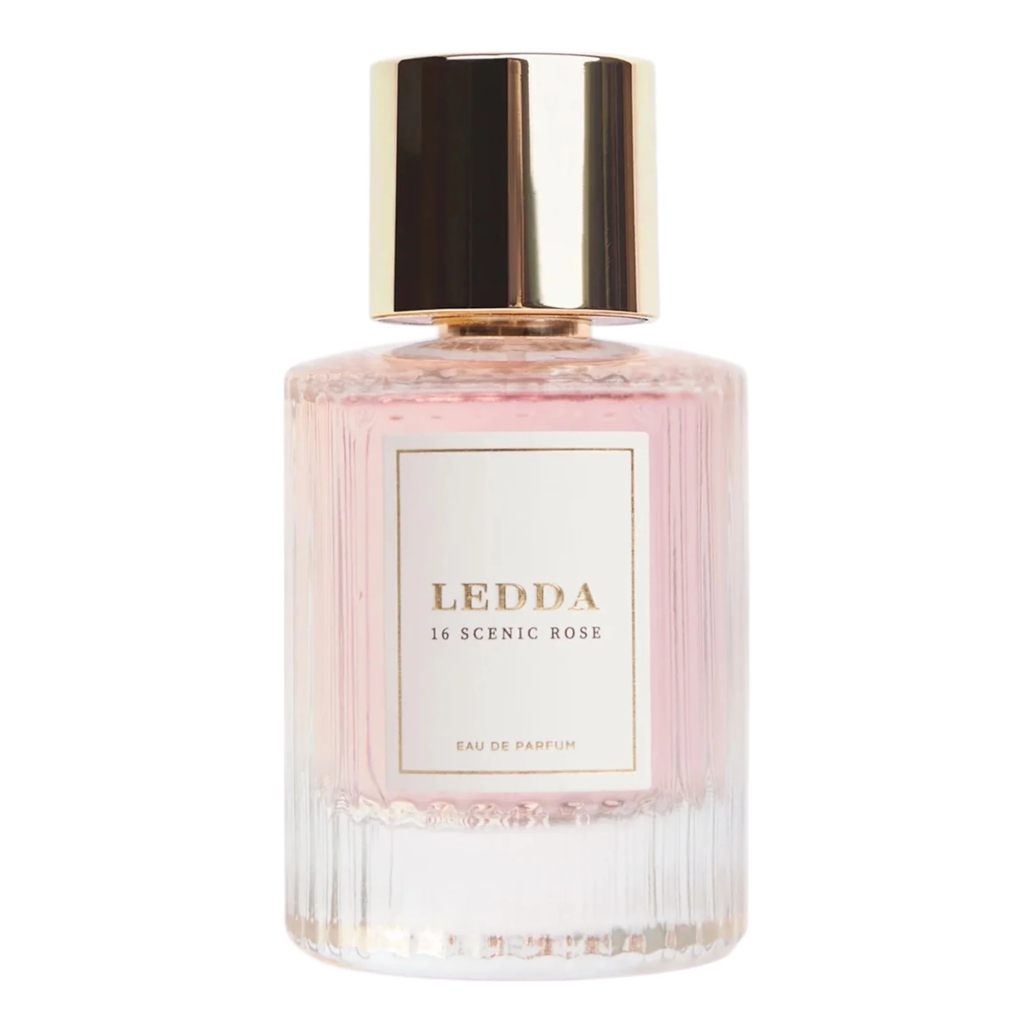 LEDDA 16 Scenic Rose